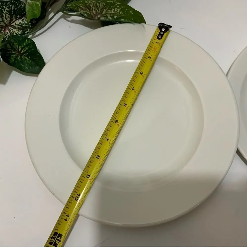 Villeroy & Boch Ariane 1 Plate 10 3/4” & 2 plates 9.5”White Fine Porcelain India
